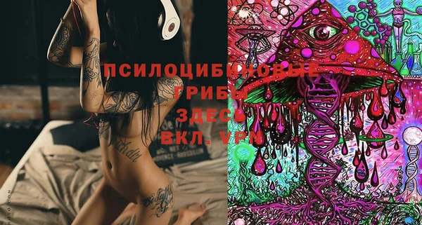 эйфоретик Арсеньев
