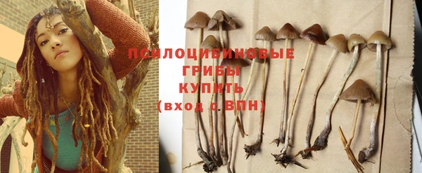 эйфоретик Арсеньев